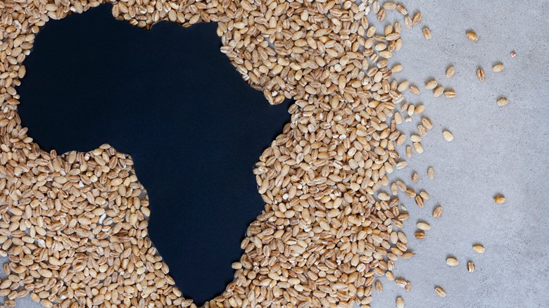 grains in the shape of Africa