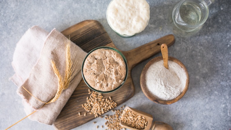 Sourdough ingredients on a stone counter