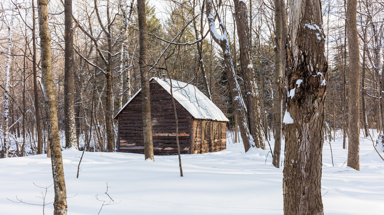 homestead in rural Québec