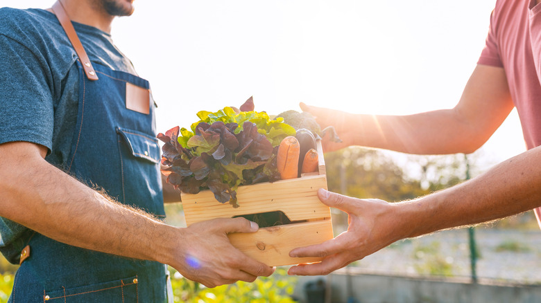 A chef receiving a box of locally grown produce