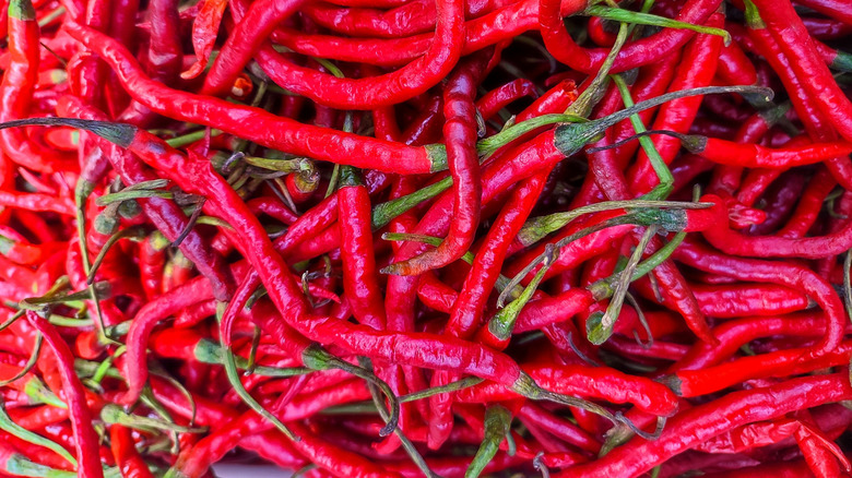Close-up of fresh red cayenne peppers