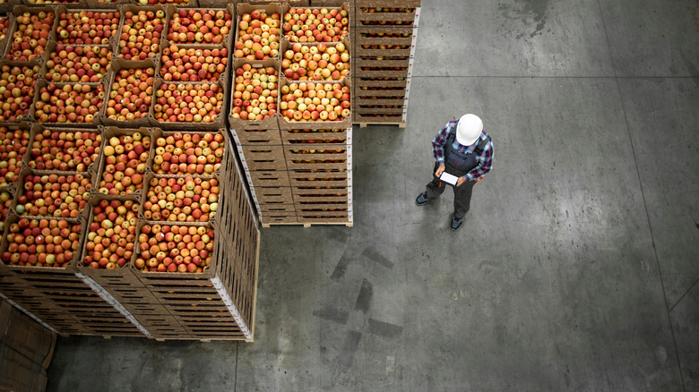 Person doing paperwork in an apple warehouse