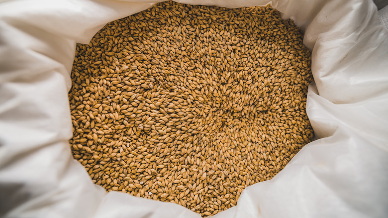 An open sack of barley for brewing beer