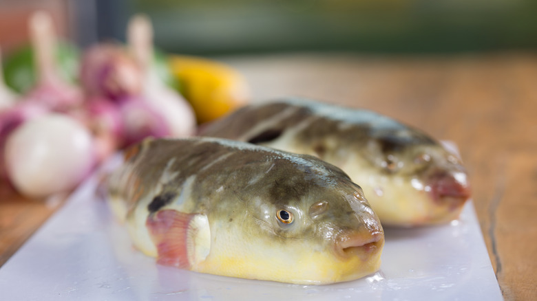 pufferfish and accompanying ingredients