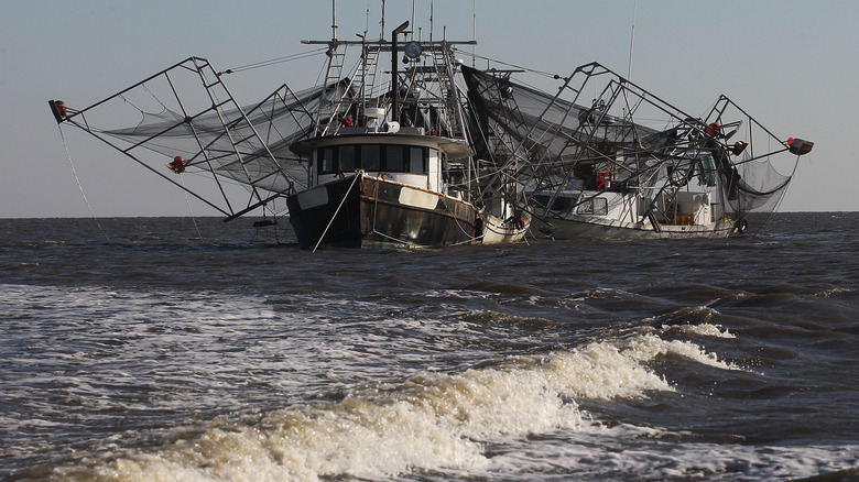 louisiana shrimp boats