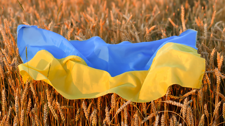 Ukrainian flag on wheat stalks