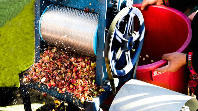 How The Washed Coffee Process Impacts The Taste Of Your Brew