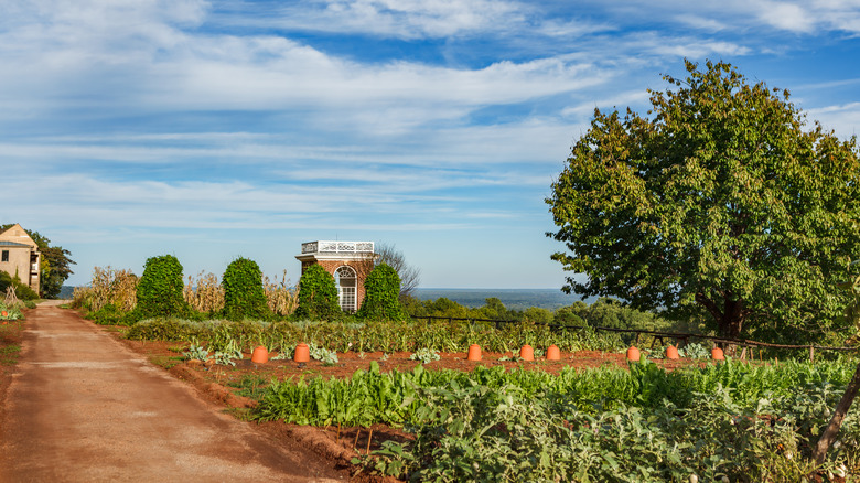 Jefferson monticello garden, Virginia