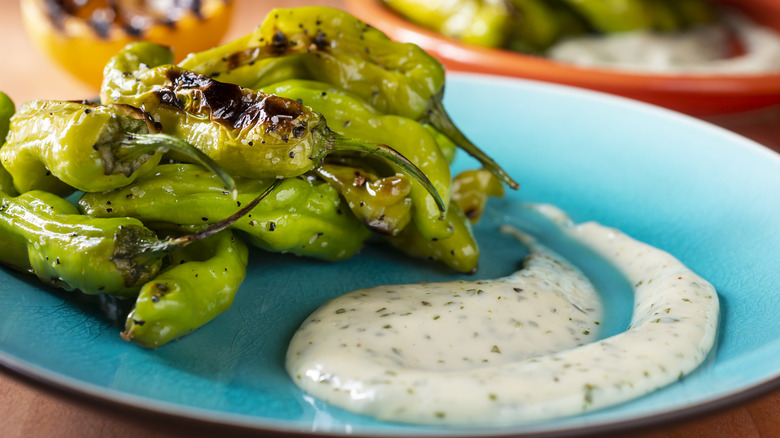 charred shishito peppers with aioli 