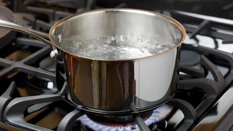 boiling water on stove