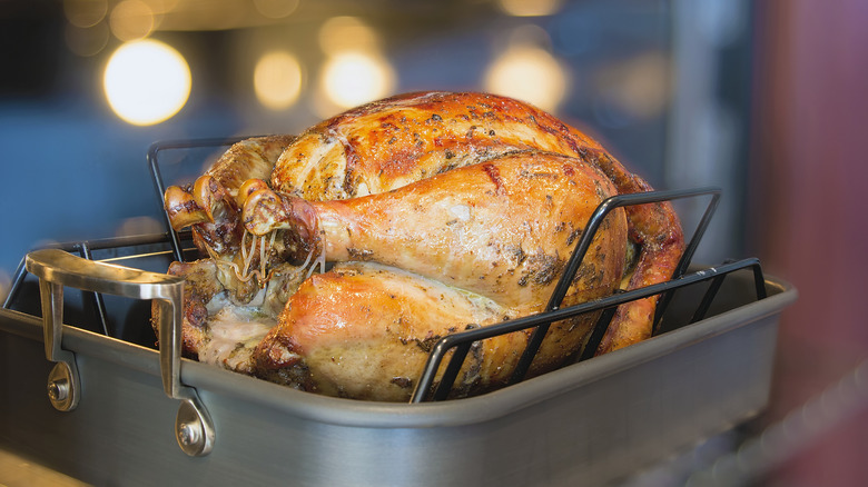 turkey in a roasting pan