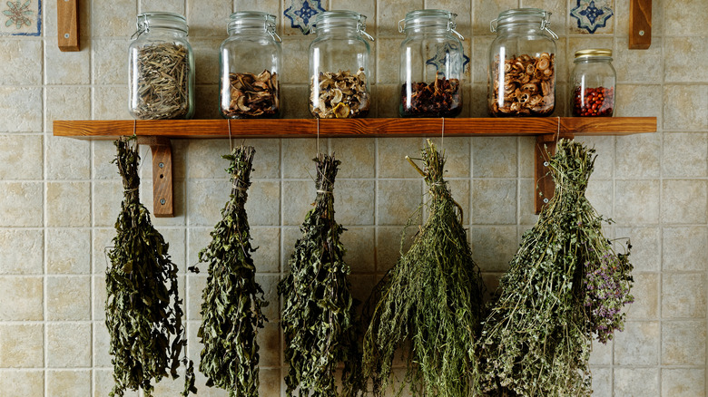 jars and herbs hanging on shelf