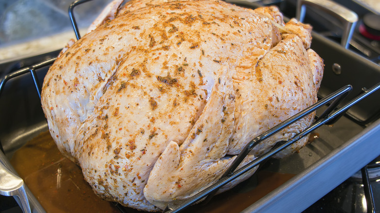 turkey in roasting pan