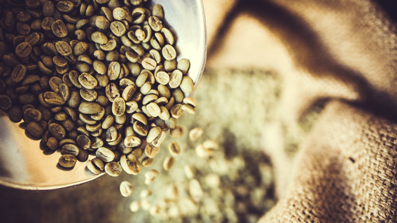 green coffee beans pouring into burlap sack