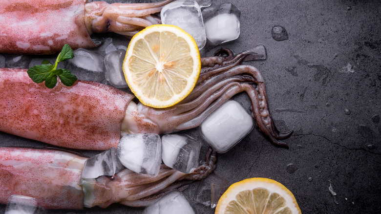 Fresh squid on ice beside lemon wedges