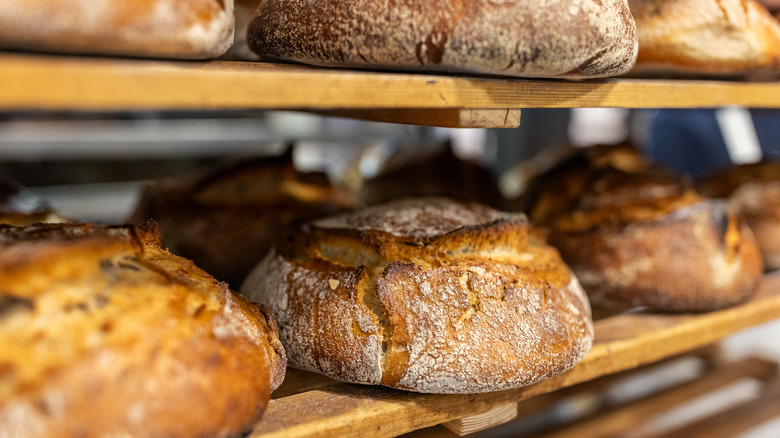 Loaves of bread on bakery shelf