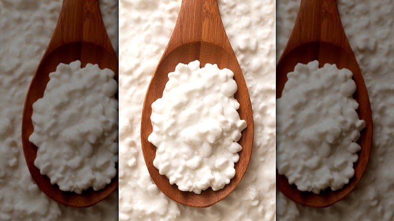 wooden spoon with cottage cheese