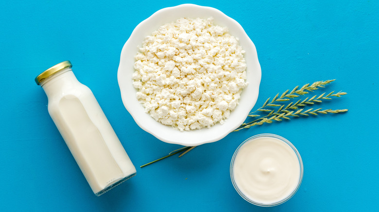 bottle of milk bowl of cottage cheese and curdled cream