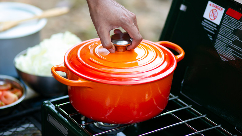 enameled cast iron pot