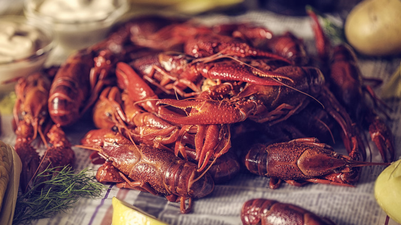 pile of cooked crawfish