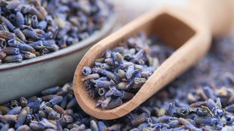 A scoop of dried lavender