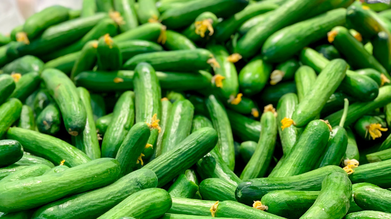 pile of cucumber