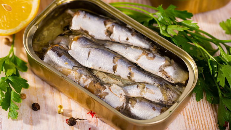 Canned sardines 