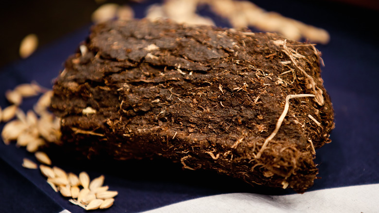 a block of peat moss