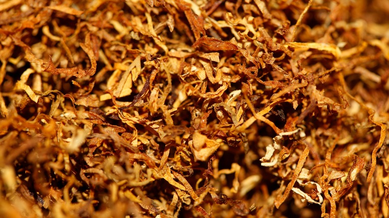 closeup of shredded dried tobacco