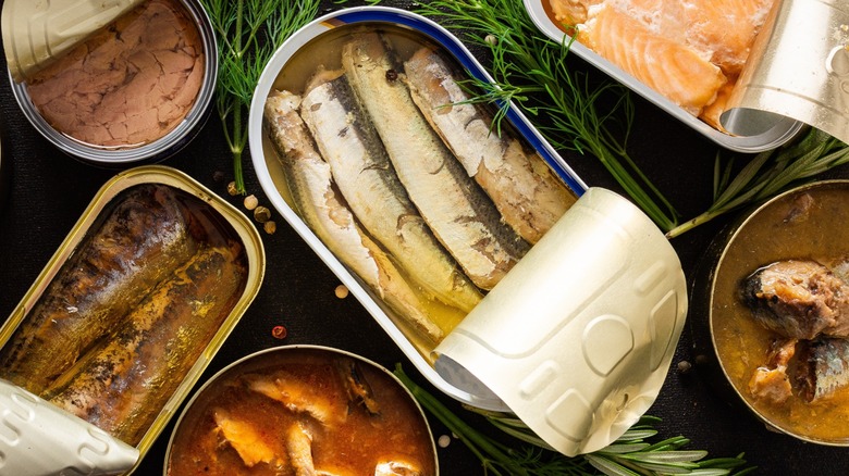 Various types of canned fish on table