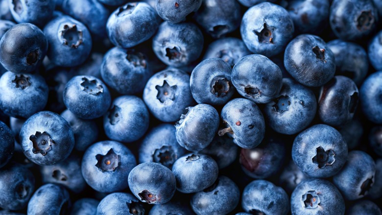 pile of bright blueberries