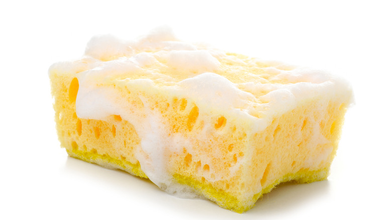 soapy sponge