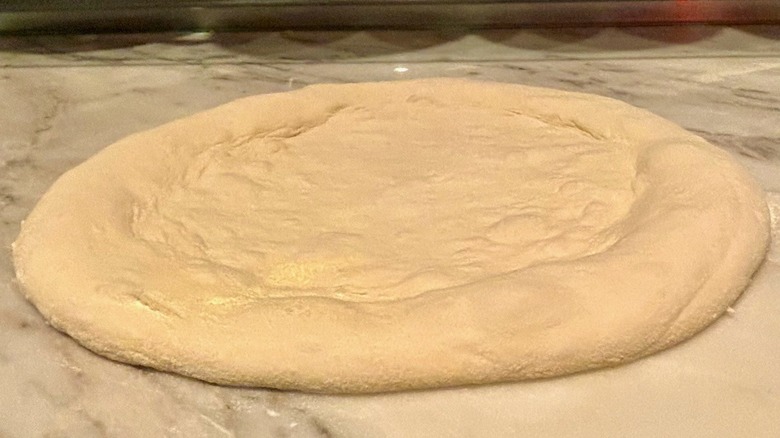 Uncooked round of pizza dough