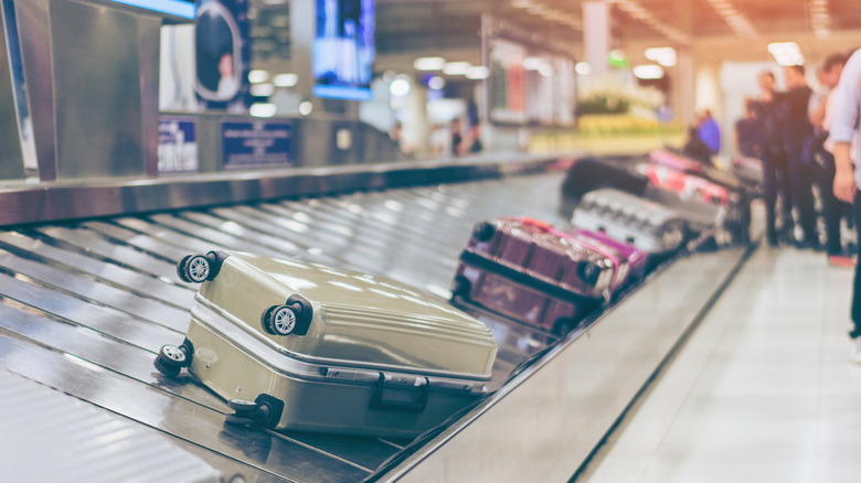 luggage in airport carrousel