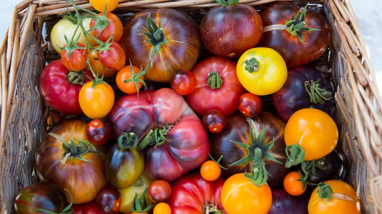 heirloom tomatoes