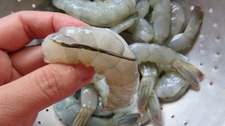 Shrimp with vein exposed