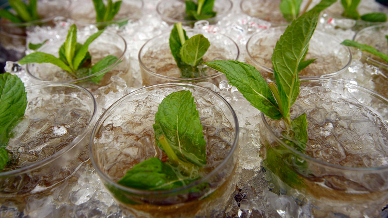 mint juleps