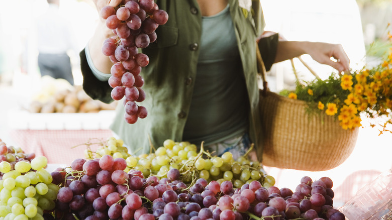 Person picking up grapes 