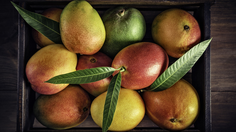 Box with ripe mangos 