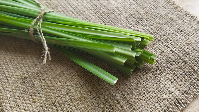 fresh lemongrass pile bundled up