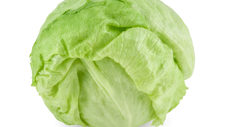 Head of iceberg lettuce