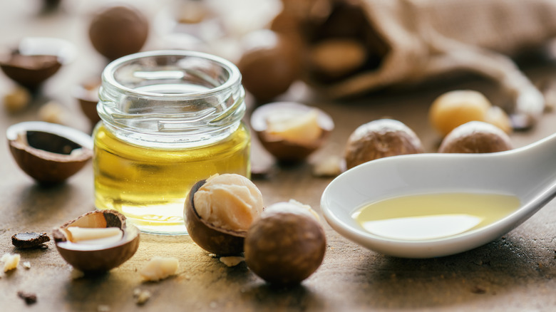 Macadamia oil in small glass jar and white spoon, with whole and cracked nuts on table