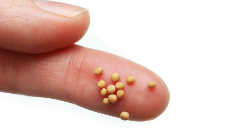 Mustard seeds on person's finger