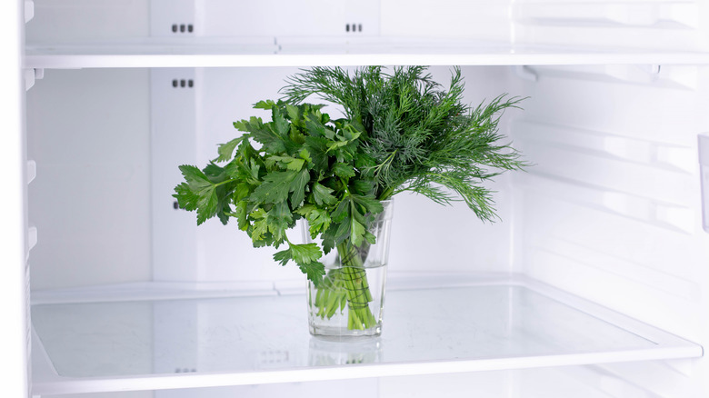 Fresh herbs in fridge