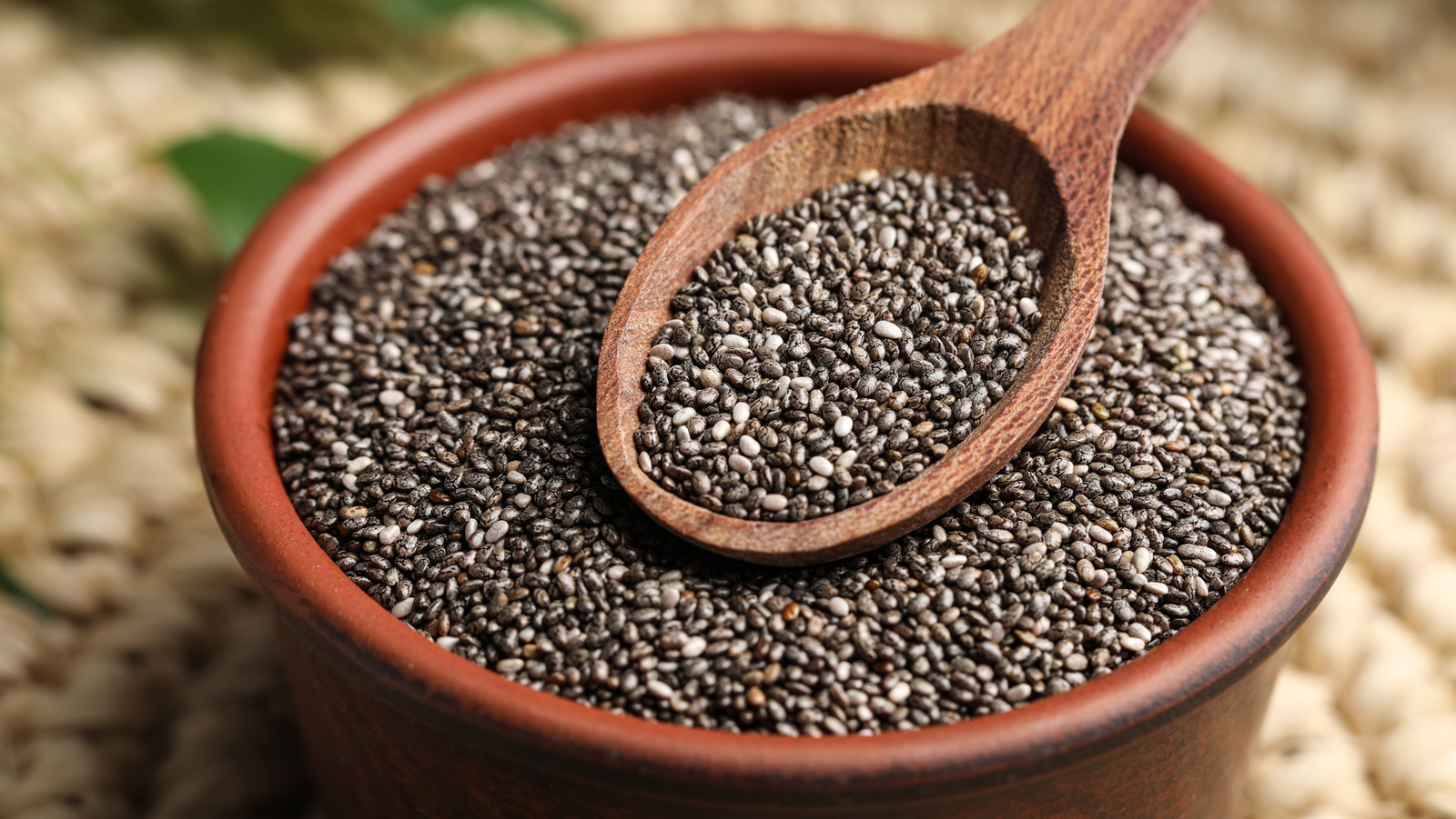 How To Tell If Chia Seeds Have Gone Bad