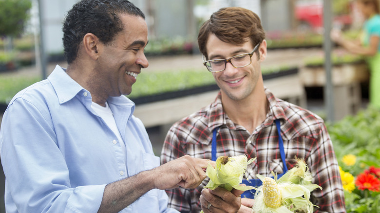 Customer discussing corn with grocer