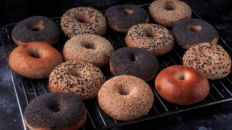 layer of bagels on cooling rack