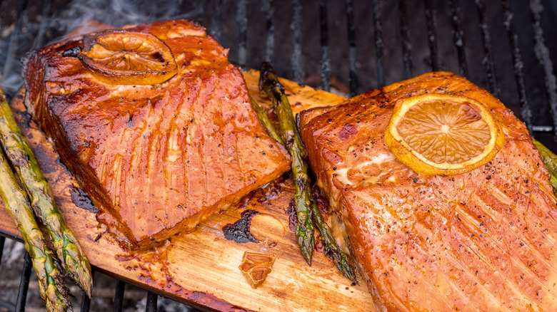 Salmon on cedar plank