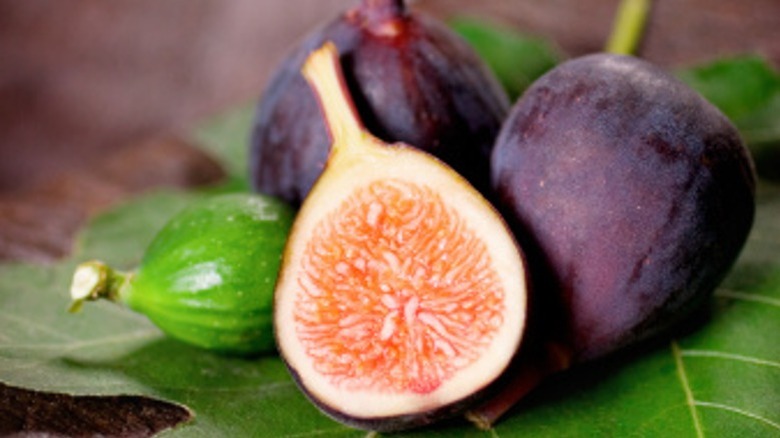 figs and fig leaves