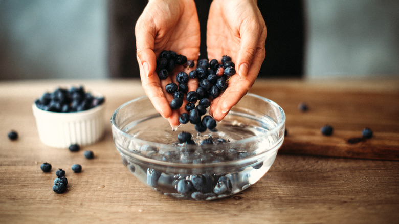 Hands dropping blueberries into a bowl